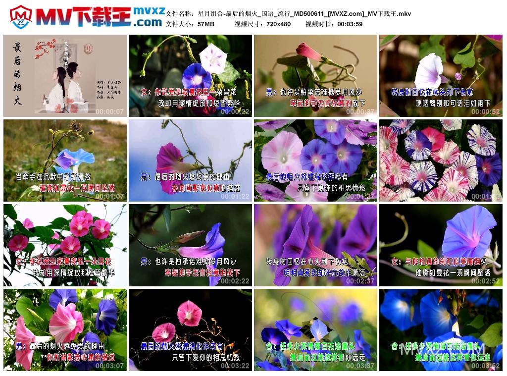 星月组合-最后的烟火_国语_流行_MD500611